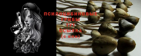 первитин Дмитриев