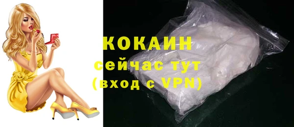 молекула духа Дмитров