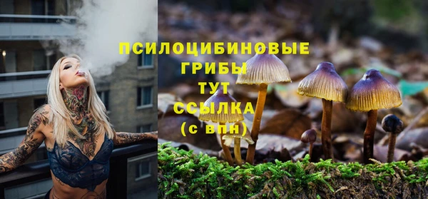 первитин Дмитриев