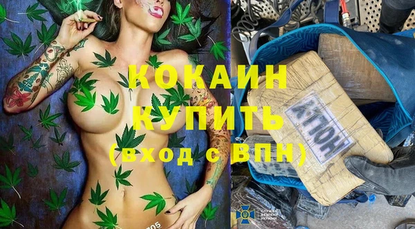 первитин Дмитриев
