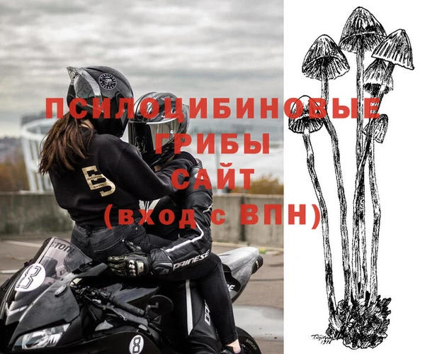 a pvp Тихвин