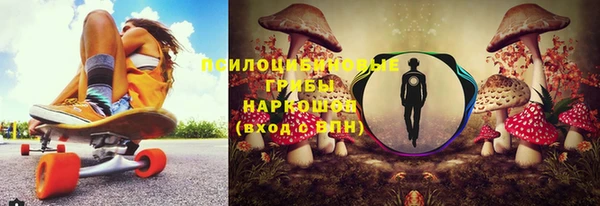 молекула духа Дмитров