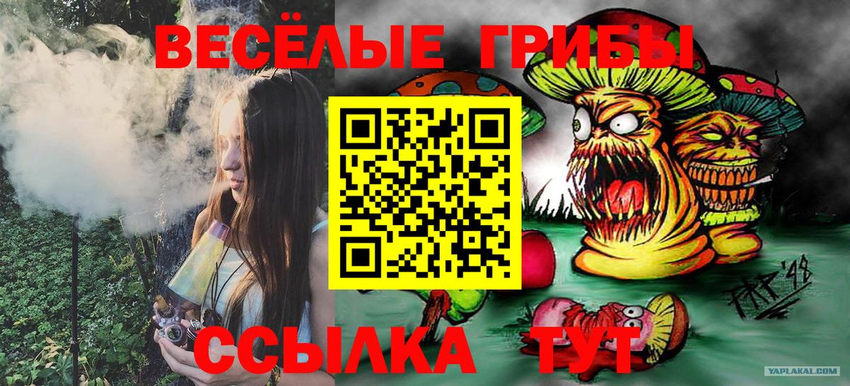 Псилоцибиновые грибы MAGIC MUSHROOMS  купить наркотики сайты  Кызыл  Вход с VPN 